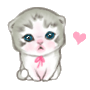 TEST (4)