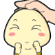 TEST (5)