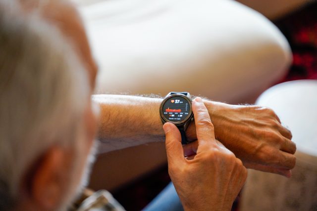 Wearables at a Glance