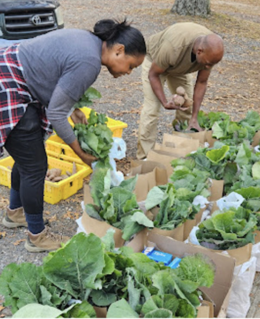 Group of people organizing plants