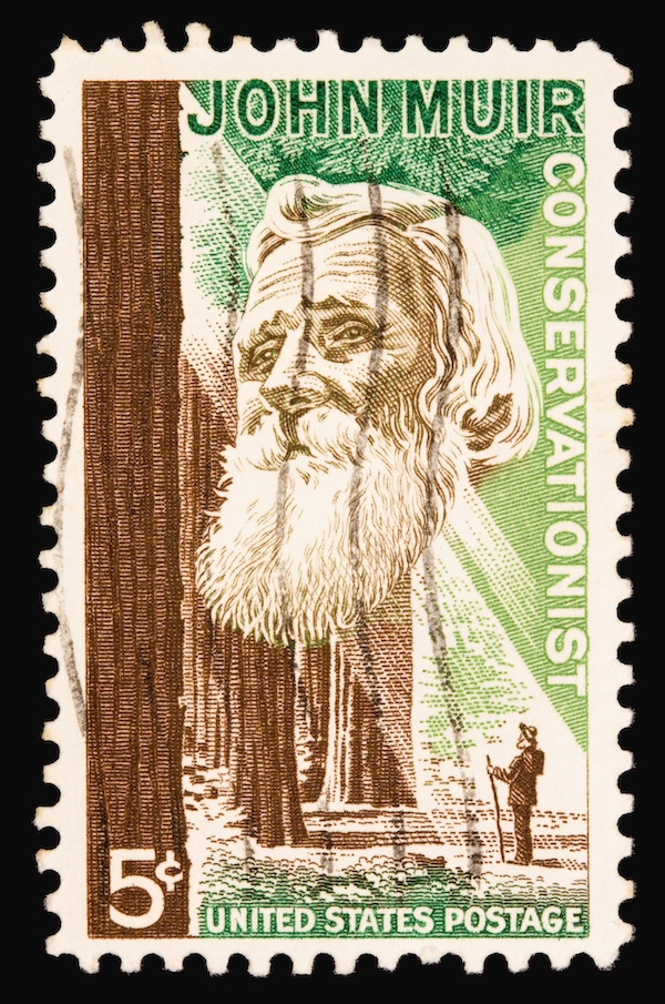 A 1964 issued 5 cent United States postage stamp showing conservationist John Muir.